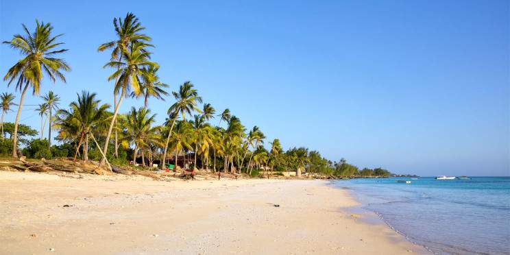 10-Day Beach Bliss & Safari Thrills - Exclusive