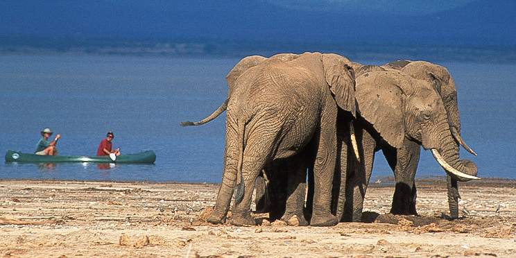 4-Day Glamour Tarangire, Serengeti & Ngorongoro Safari