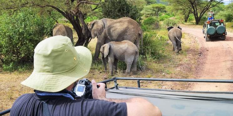 2-Day Luxury from Zanzibar to Tarangire & Ngorongoro