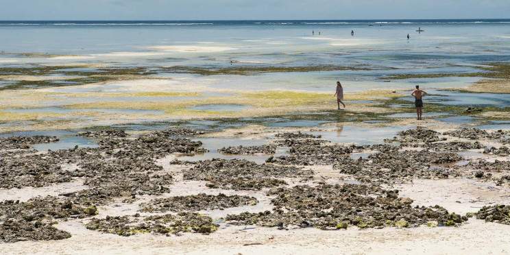 3-Day Tarangire, Manyara & Ngorongoro from Zanzibar