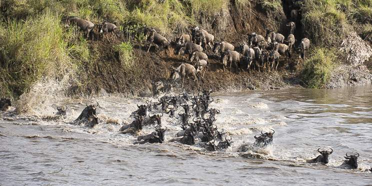 12-Day Safari in Kenya & Tanzania 2026