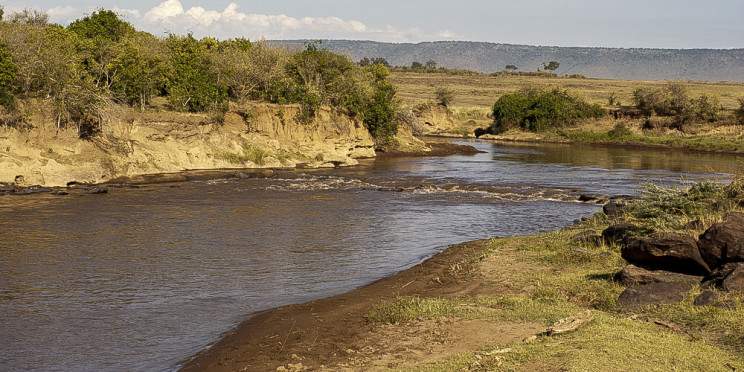 4-Day Masai Mara & Lake Naivasha Safari Tour