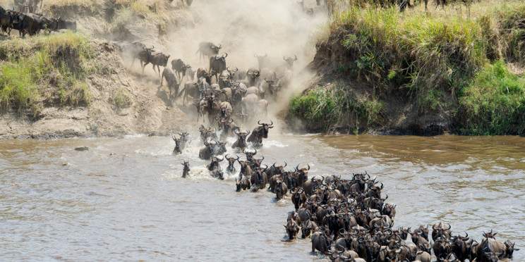6-Day Mid-Range Safari Northern & Central Serengeti