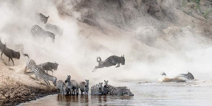 7-Day Aberdare, Nakuru, Masai Mara & Samburu Luxury Tour