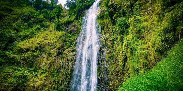 1-Day Amazing Materuni Waterfalls Daytrip