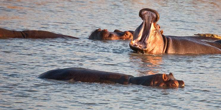 3-Day Wildlife Adventure Mikumi National Park