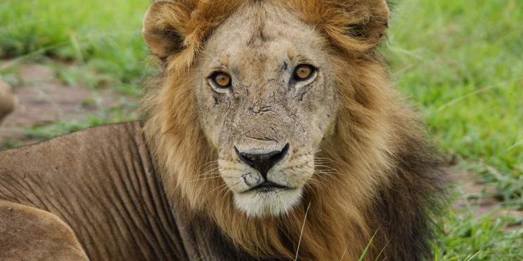 11-Day Budget Kenya & Tanzania Group + Village Visit 4x4