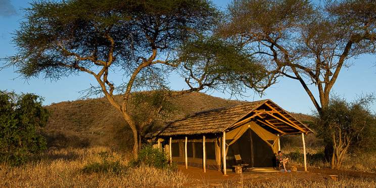 1-Day Mkomazi National Park Day Tour from Moshi