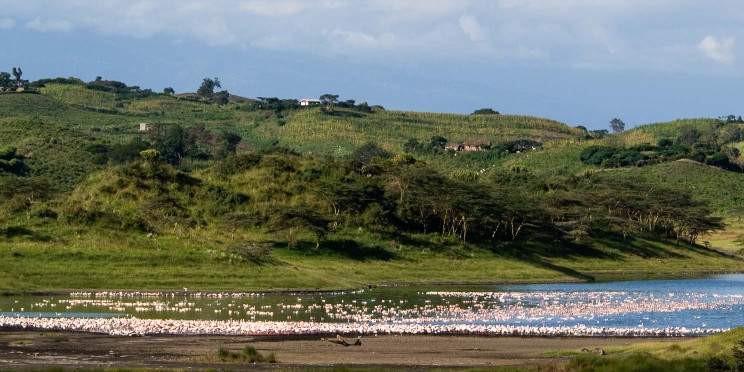 8-Day Kilimanjaro Trekking to Uhuru Peak (Rongai Route)