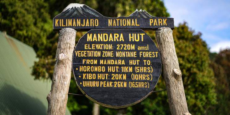 1-Day Kilimajaro Experince Hike the Marangu Route