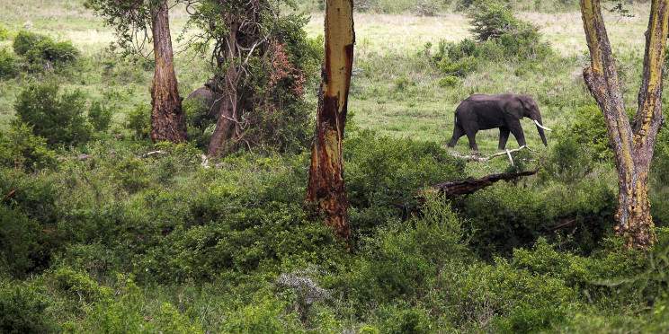 5-Day Lake Manyara, Serengeti & Ngorongoro Luxury Safari