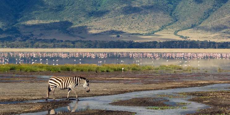 7-Day Epic Budget Wildlife Safari from Dar Es Salaam
