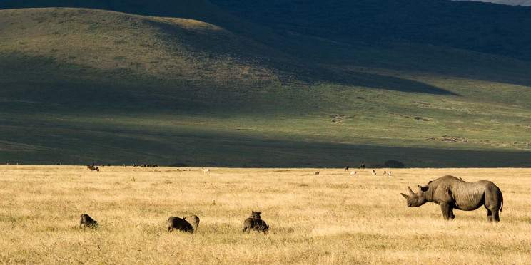9-Day Exclusive Tanzania Safari Starting from Masai Mara