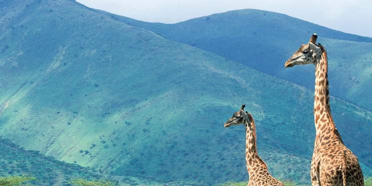 7-Day Multidimensional Tanzania Safari
