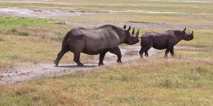 4-Day Enjoy Luxury Romantic Honeymoon Safari Experience