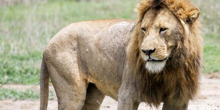 2-Day Affordable from Zanzibar to Tarangire & Ngorongoro