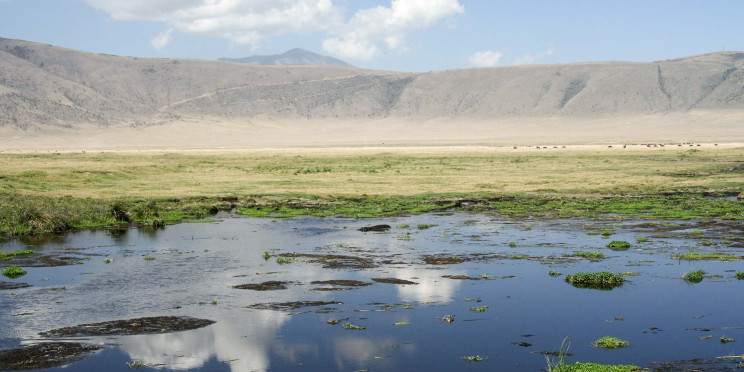 2-Day Explore the Wild in Tarangire & Ngorongoro