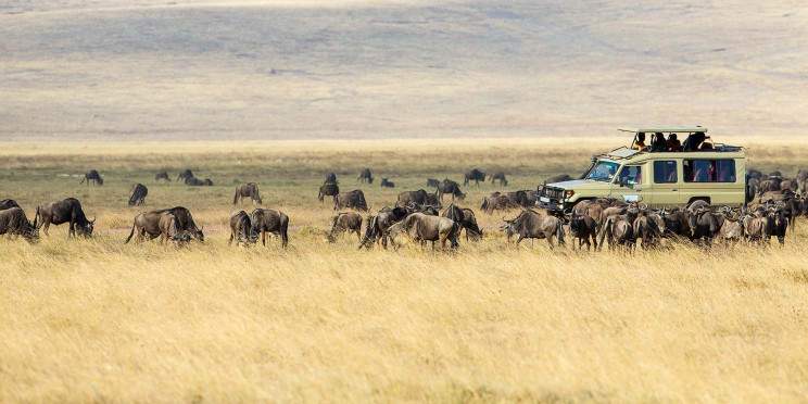 2-Day Fly in Safari Tarangire & Ngorongoro from Dar