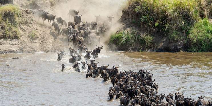 7-Day Kenya & Tanzania Budget Tour