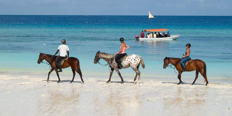 17-Day Luxury from Wild Savannahs to Coastal Opulence