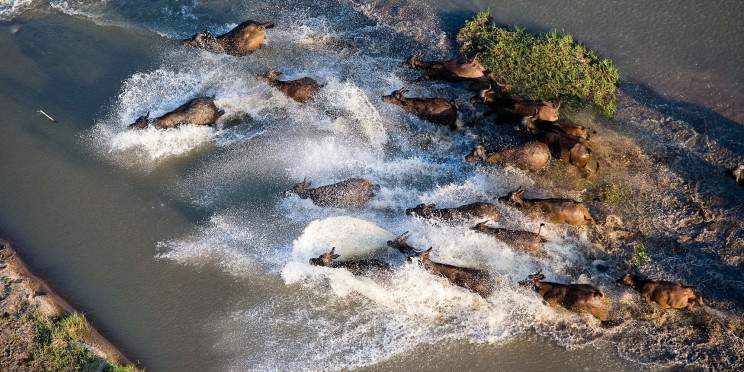 1-Day Expedition Trip at Selous