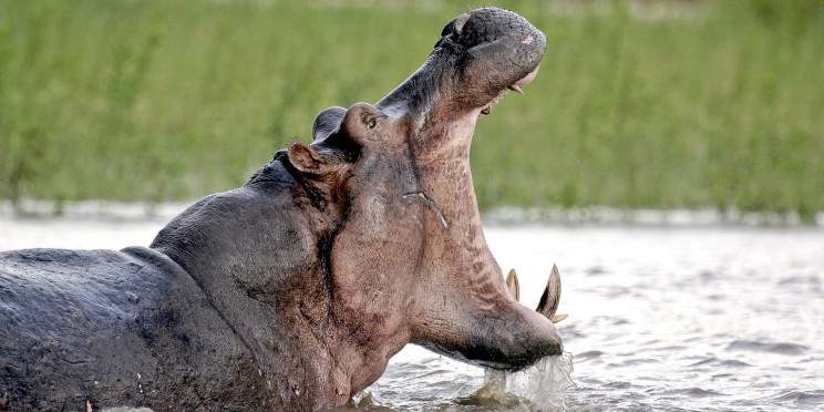 3-Day Group Tour to the Parks Close to Arusha