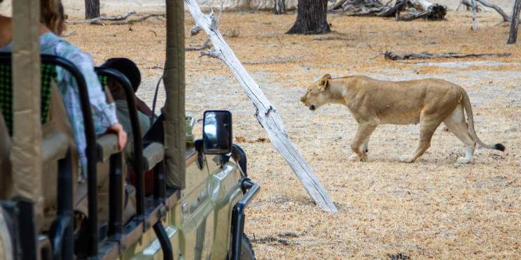 5-Day Private Experience Tanzania Safari