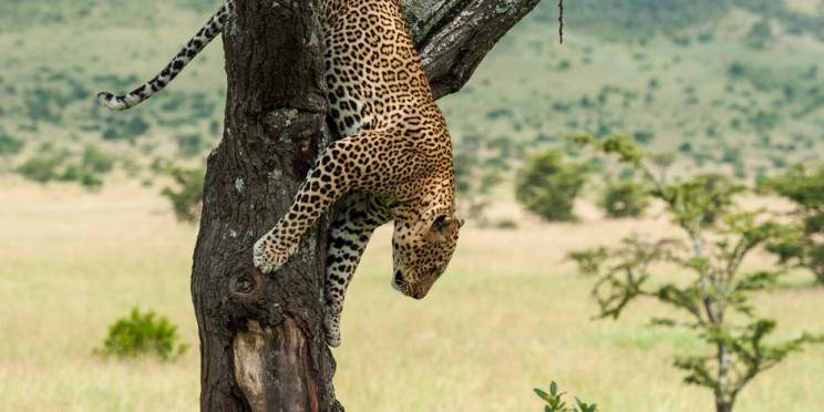 2-Day Safari to Tarangire NP & Manyara NP from Zanzibar