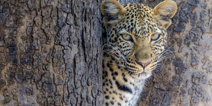 3-Day Serengeti and Ngorongoro