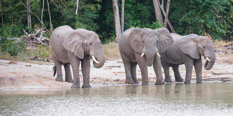 12-Day Kenya & Tanzania Budget Group Sharing Safari