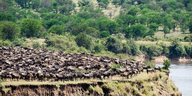7-Day Best Great Migration Safari and Tour