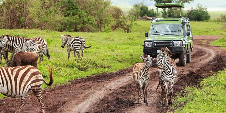 8-Day Kenya Tanzania Budget Safari
