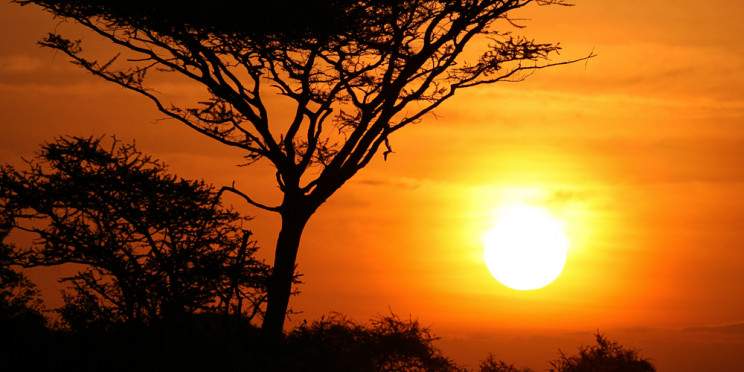 4-Day Nairobi to Serengeti Cross-Border Wildlife Safari