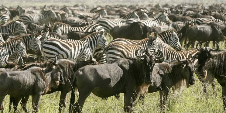 13-Day Best of Tanzania, Kenya and Zanzibar