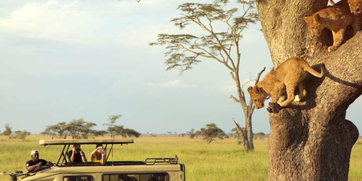 7-Day Northern Circuit Safari & Waterfall Hike Adventure
