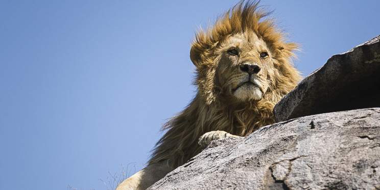 3-Day Tarangire, Ngorongoro & Manyara -Safari from Moshi