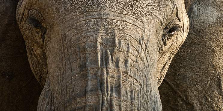 1-Day Explore Tarangire Nationl Park