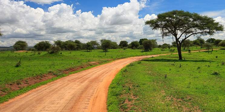 1-Day Group Tour Tarangire Wildlife Tour