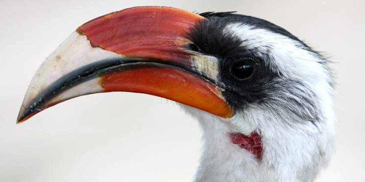 3-Day Tarangire, Ngororongoro and Lake Manyara