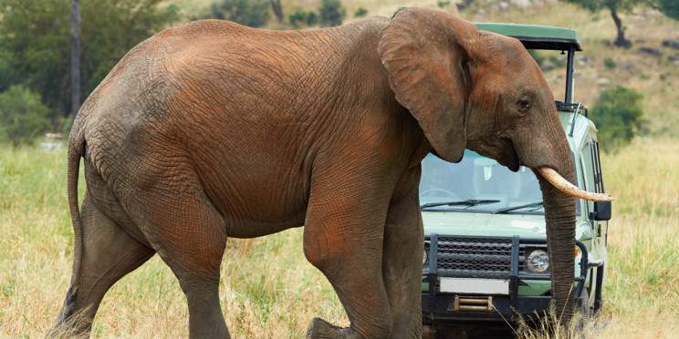 3-Day Comfort Safari at Tarangire, Ngorongoro & Manyara