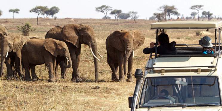 10-Day Best of Tanzania Safari & Zanzibar Beach