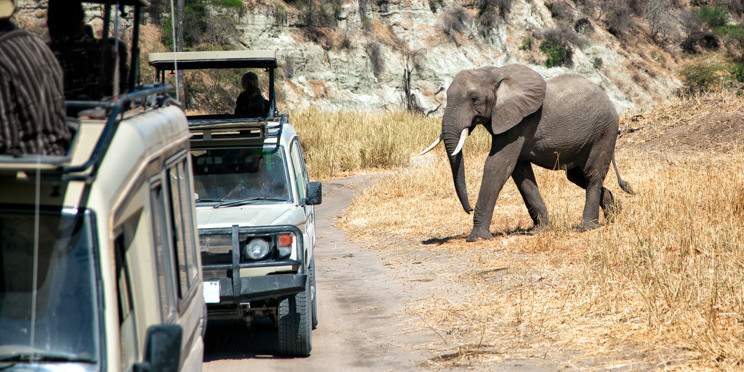 3-Day Marvelous Safari Serengeti & Ngorongoro Crater