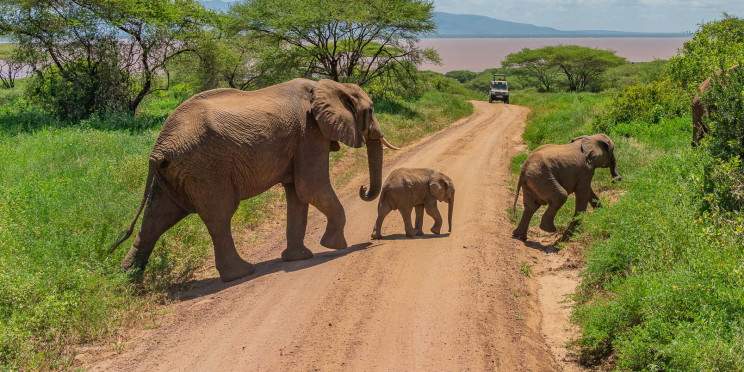 1-Day Escurssion Tarangire National Park