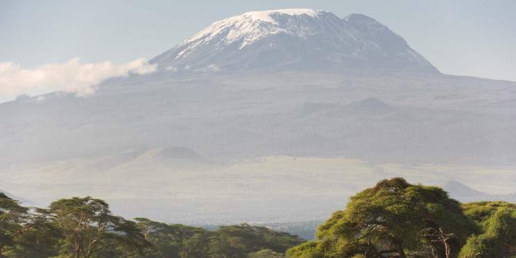 5-Day Memorable Tanzania Safari & Kilimanjaro Day Hike