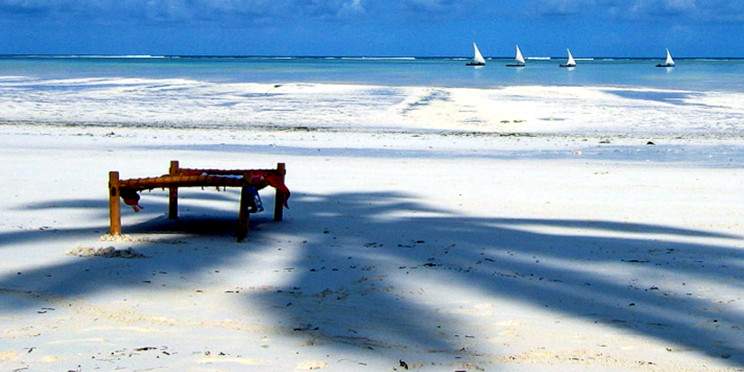 6-Day Wildlife and Beach Safari