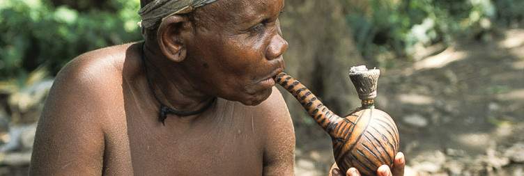Transfer to Bwindi Impenetrable National Park with an Evening Visit to the Batwa Community