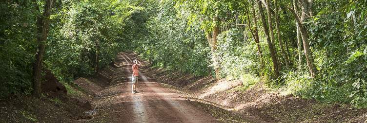 Full-day Birding at Budongo Forest