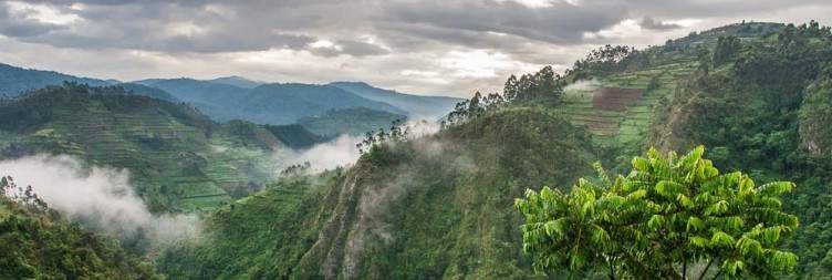 Gorilla Tracking & Batwa Cultural Experience – Bwindi Impenetrable National Park