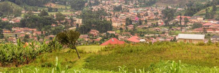 Volunteering in a Community School and Travel To Bwindi