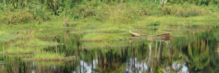 Transfer to Kabwoya Wildlife Reserve Evening Nature Walk & Bush Dinner